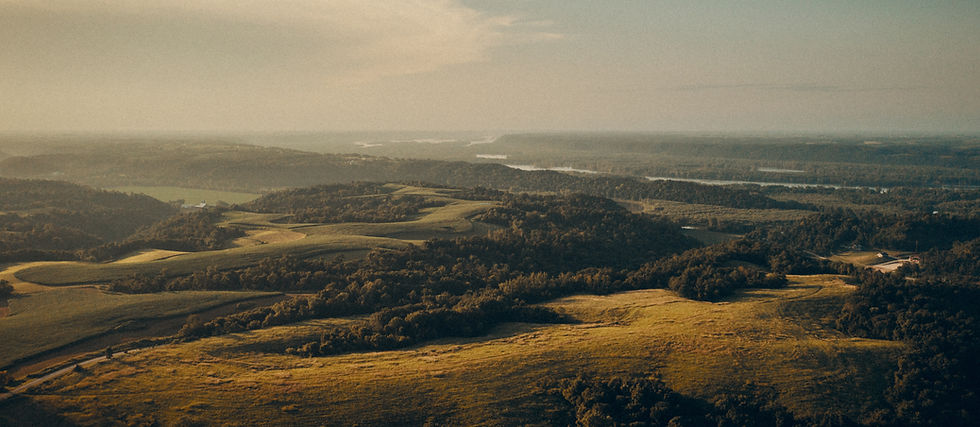 Image by Avi Richards