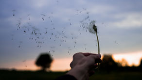 Be open to anything