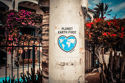 “Planet Earth First” poster