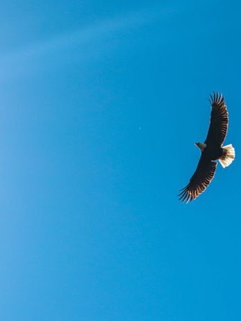 Faith’s Story: Friend // Daughter // Student // Girl that matters