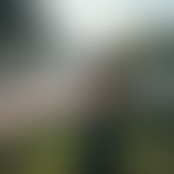 Power of The Past: A Decision to Move On