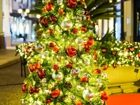 Report Shows Most People In The UK Care About Sustainability This Christmas 🎄