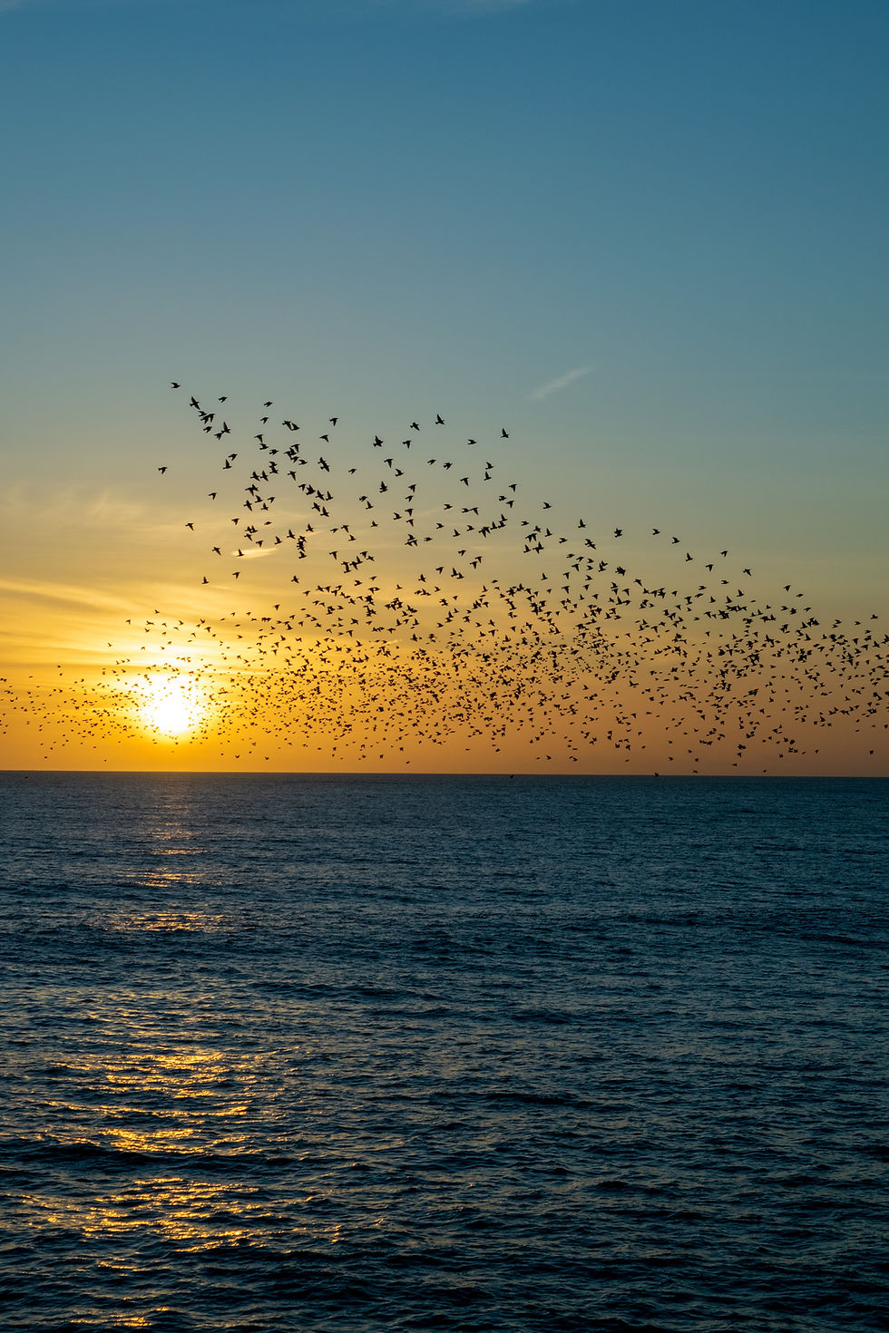 Murmurations - Meditations on February's Very Uranian Astrology