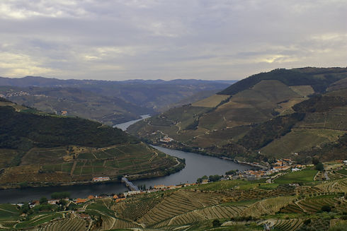 Image de João Brandão