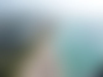 How Living Structures Can Help Protect Miami's Coast and Keep the Paradise Vibe