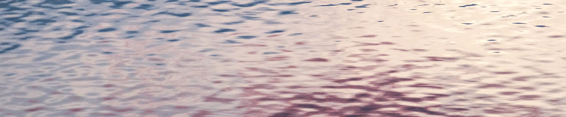 Image by Kym MacKinnon