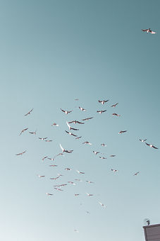 Image by Ben Weber