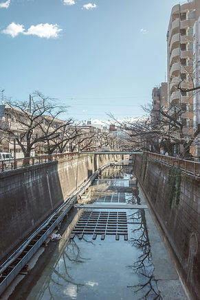 目黒川の風景写真(目黒区の街並み)