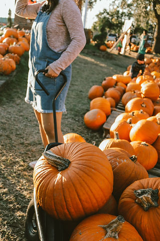 Image by Kylie Paz