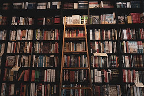 Image by Taylor