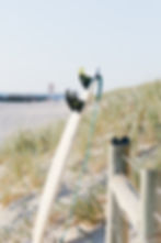 WAHINES - surfbroard read to surf the waves