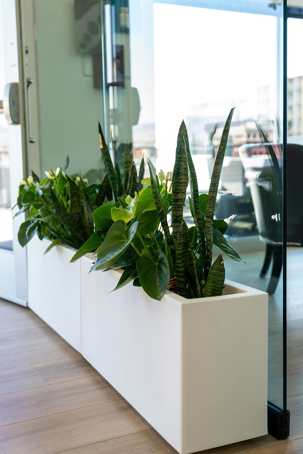 Eco Smart Work place