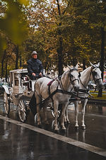 Image by Ralph Darabos