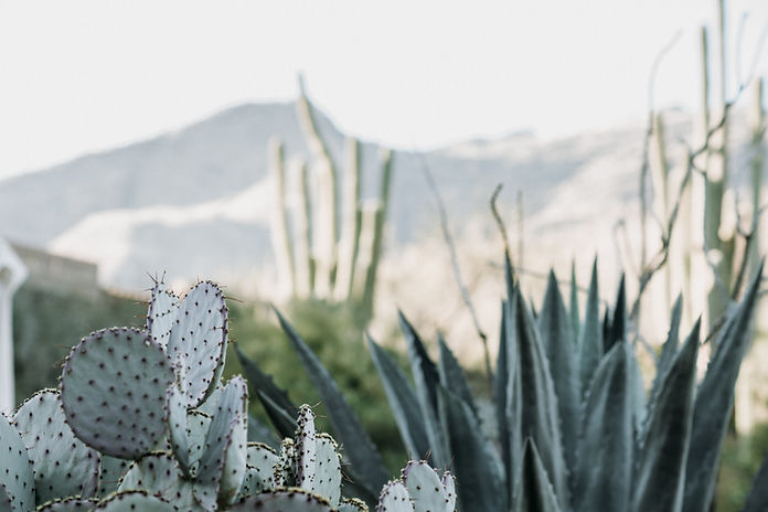 Image by zelle duda