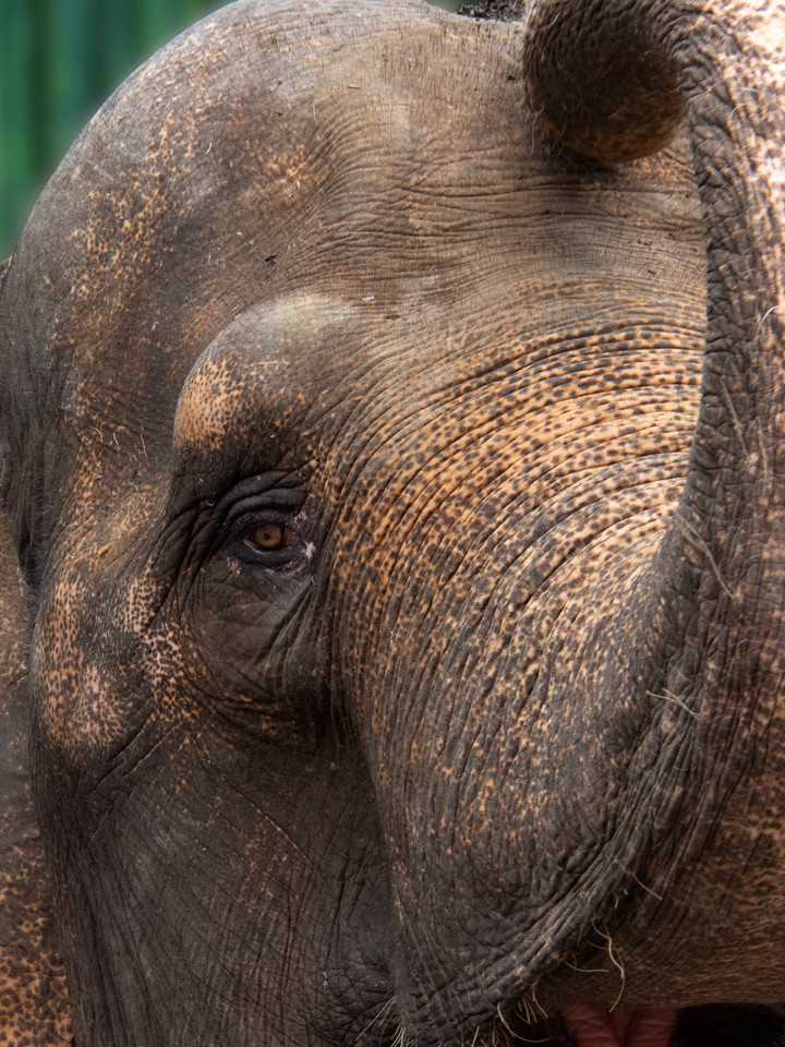 Image by Nick Fewings