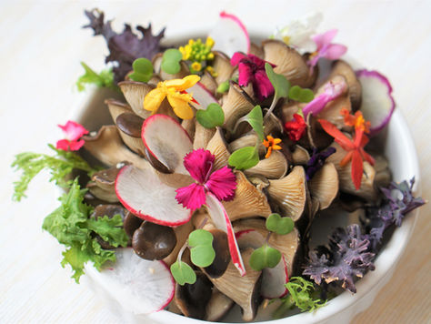 The Health Benefits of Buddha Bowls: A Wholesome Approach to Eating 
