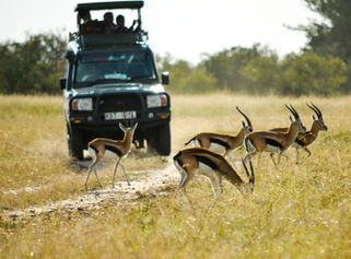Nairobi, Samburu, Aberdare, Nakuru, Masai Mara