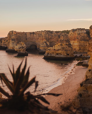 Image by Julia Solonina