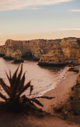 Image by Julia Solonina