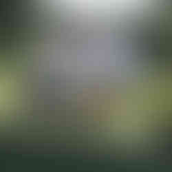 Η γοητεία των αλόγων