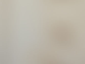DIY Plastering: When to Call the Professionals