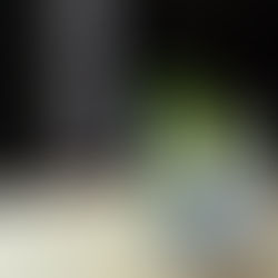 El Gin Tonic Sin Alcohol Perfecto Existe