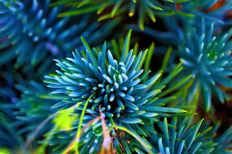 Image by Sipho Ngondo