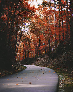Image by Elijah M. Henderson