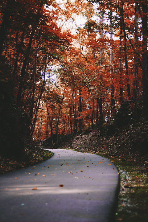 Image by Elijah M. Henderson