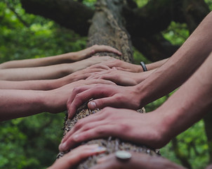 Image by Shane Rounce