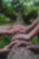 Image de Shane Rounce