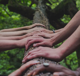 Image by Shane Rounce