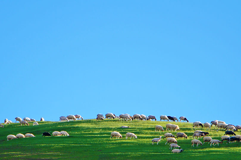 Image by Hasan Almasi