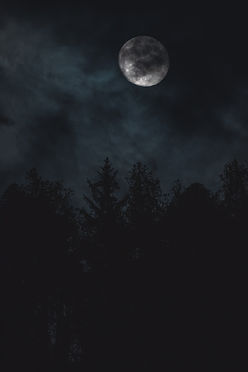 Full moon in a dark, cloudy sky above silhouetted pine trees. Moody and mysterious nighttime scene with deep blue and black hues.