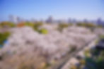 Image by JCS Chen