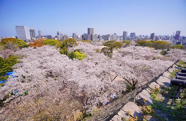 私たちの教会 日本福音キリスト教会連合 福岡聖書教会