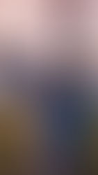 Türkiye Festival Takvimi: Türkiye’deki En Popüler 15 Festival