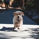 Image by Andrew Schultz