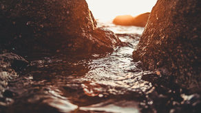 When I Saw You The Other Day...