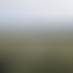 A Little Weed Can Take Over Your Mind