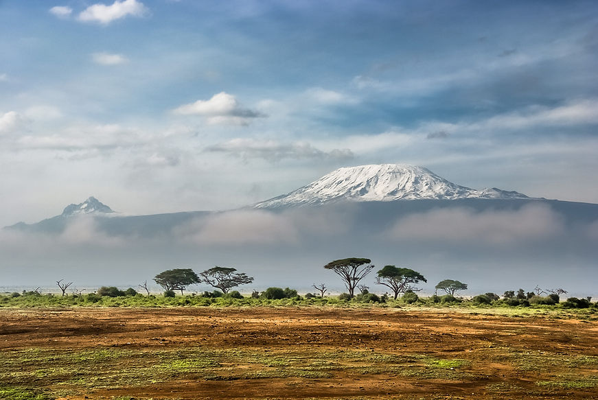 Big mountain covered with snow behind african landscape with trees Image by Sergey Pesterev