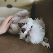 Image by nomao saeki