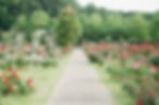historic garden festival roanoke