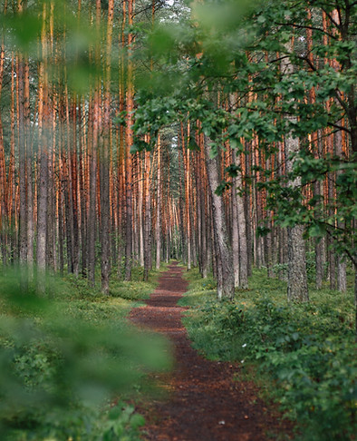Image by Ugne Vasyliute