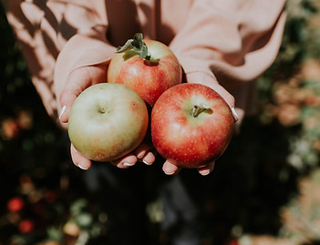 Image by Natalie Grainger
