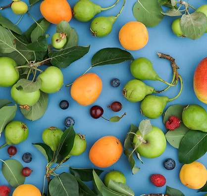 Image by Olga Drach