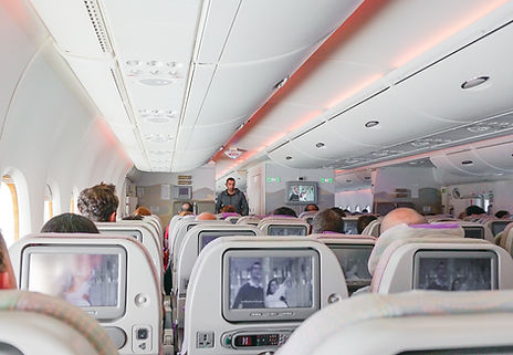 English for Airline Travel & Tourism