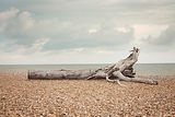 Image by JD Designs