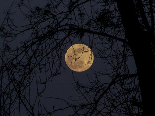 Full Moon March 2026