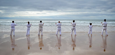 Japanese Karate and Kenpo Forms/Kata